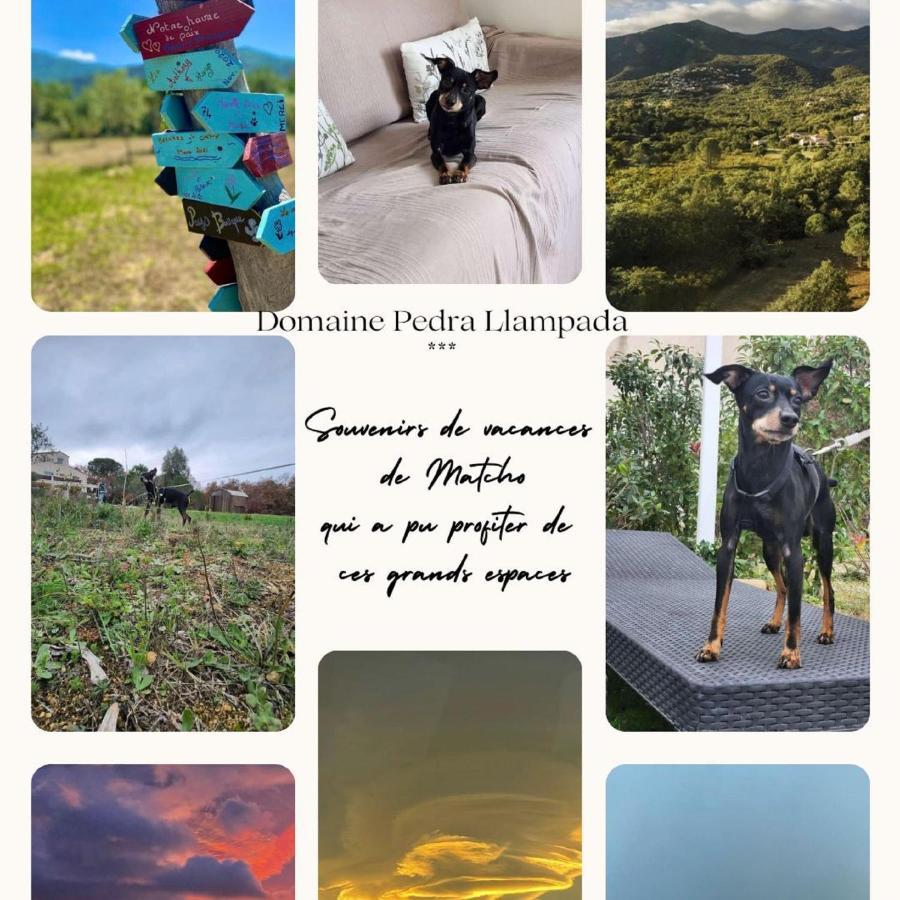 Domaine Pedra Llampada Apartment Villelongue-dels-Monts