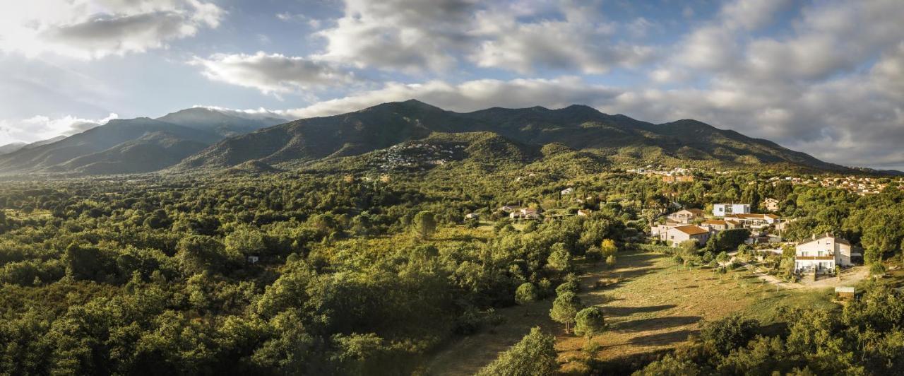 Domaine Pedra Llampada